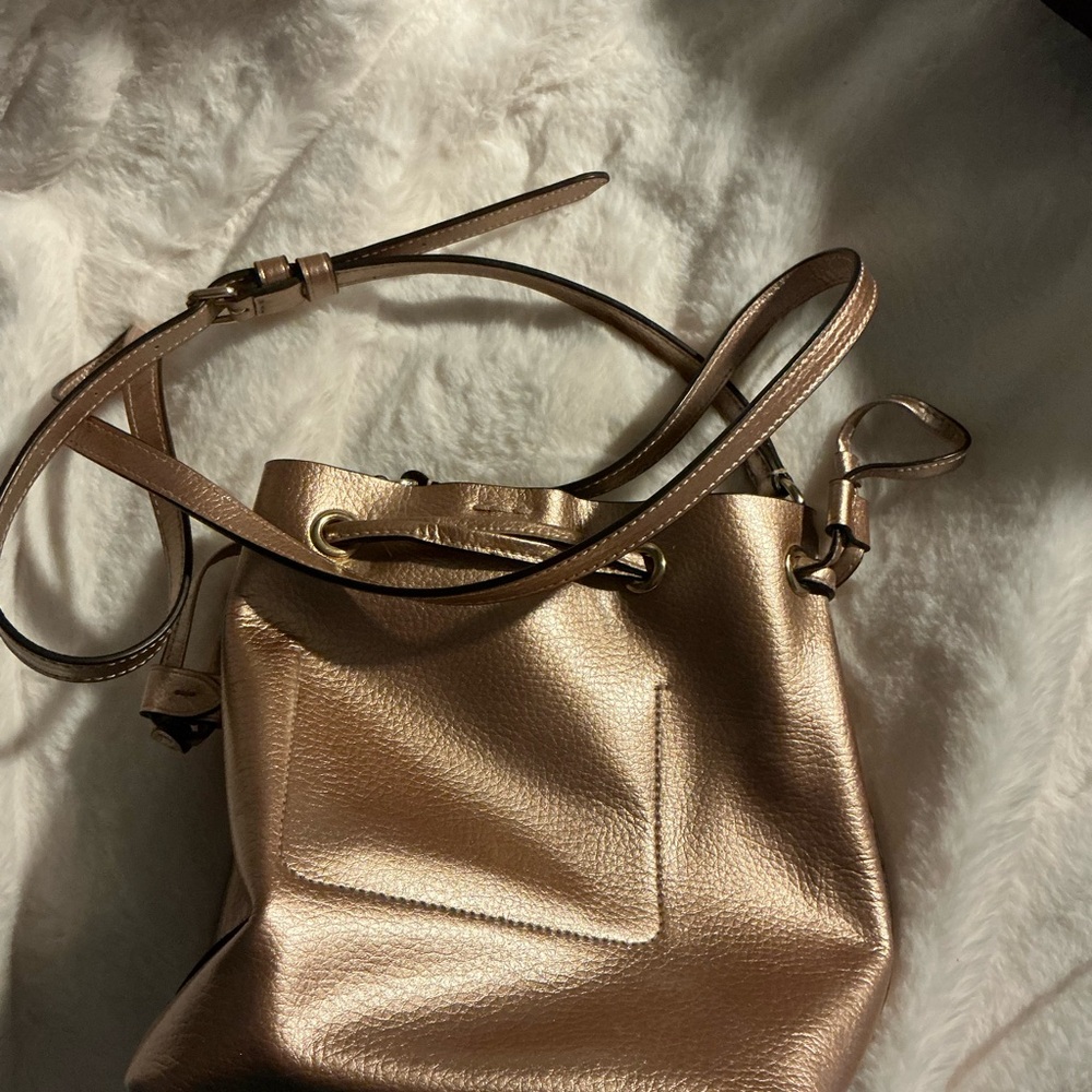 Coach Rose Gold Metallic Derby Crossbody Bag